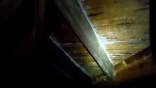 Ventilation issues found in attic