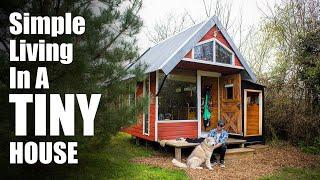 Man & His Dog Live In Swedish Inspired Tiny House | Off Grid Living