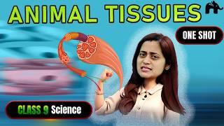 Tissues Class 9 Chapter 6 NCERT #2 | CBSE Science | Biology | Animal Tissues | One Shot