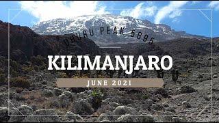 Kilimanjaro. Lemosho Route to Uhuru Peak 5895. June 2021. Gopro HERO 8