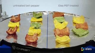 Elea PEF freeze drying enhancement of bell pepper