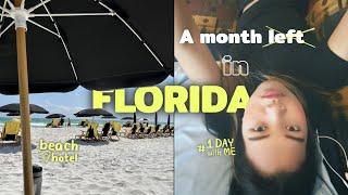 Florida diary Part 2  | last month in USA, hanging out with my friends, go to Orlando