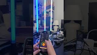 INTELLECT demo