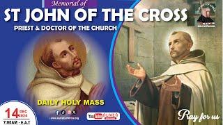 MEMORIAL OF SAINT JOHN OF THE CROSS, PRIEST & DOCTOR OF THE CHURCH || Daily TV Mass, 14th Dec,2024