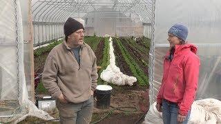 An Off-Grid Sustainable Farm - In the Alaska Garden with Heidi Rader