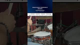 DRAG/SINGLE PARADIDDLE BEAT #drums #drumming #drumlessons  #drumtutorial #drummer