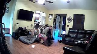 Breaking Up a Great Dane Fight