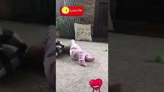 Funny Videos - Baby Tiktoks  #168 #Shorts #Memes #Tiktoks #Baby