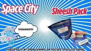 SHOPHELLOMARY X SPACE CITY CANNABIS “SHEESH PACK” REVIEW + ROLLING A HASH HOLE! ()