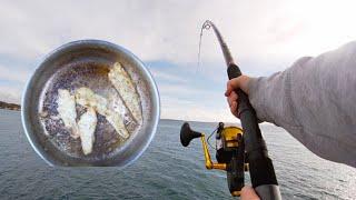 24 Hours On A RockWall - Eat What You Catch - Lee Breakwall Fishing Victoria