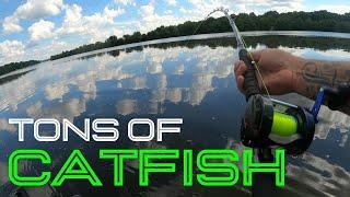 The BEST WAY To Catch TONS Of SUMMER Catfish In Strong Current