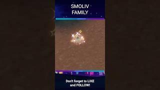 SHINY SMOLIV FAMILY?? #shinyhunt #pokemonday2025 #smoliv #dolliv #arboliva #scarletviolet