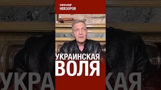 @NevzorovTV — парадокс Курского наступления