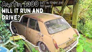 Abandoned For 40 Years In A Welsh Barn, Can I get It To Run And Drive?! 1973 Austin 1300 mkIII