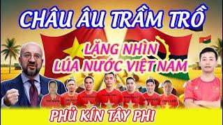  Châu Âu Bất Ngờ! Lúa Việt Nam Đang Phủ Xanh Châu Phi Nhờ Team Quang Linh!