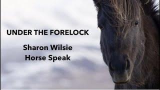 Under The Forelock:  Sharon Wilsie,  Horse Speak