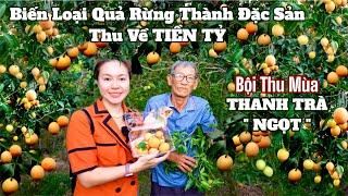 Biến loài quả Rừng THANH TRÀ thành Đặc Sản thu về TIỀN TỶ và quán Cơm Tấm Đêm lâu đời | SHVLOG #862