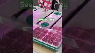 SEED STARTING #farmlife #gardening  #gardening  #seedstarting #seeds  #homesteading #gardener