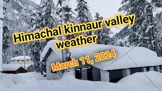 March 11, 2024, kinnaur valley weather || Himachal Pradesh @Ankit tourism and travel