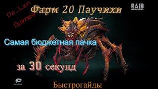 RAID Shadow Legends 20 Паучиха . Самая бюджетная сборка!!!