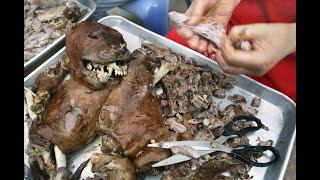 Сколько стоит собачатина в Китае? Фестиваль собачьего мяса