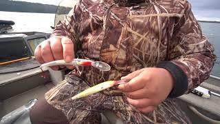 Late fall Bay of Quinte trophy walleye techniques