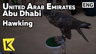 【K】UAE Travel-Abu Dhabi[아랍에미레이트 여행-아부다비]베두인족 매사냥/Abu Dhabi/Hawking/Farm/Arabian Camel/Tribe/Bedouin