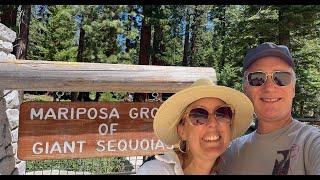 Yosemite: Mariposa Grove 2023