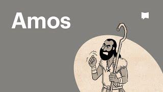 Buchvideo: Amos