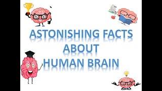 Astonishing facts about human brain | SliceInfo