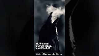 ЧЁРНЫЙ ВОРОН