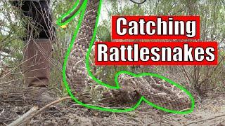 Hunting for Rattlesnakes in South Texas (These Guys Are Crazy!)