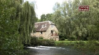 Compton Chamberlayne - River Nadder