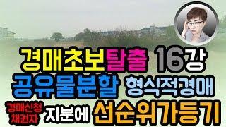 경매초보탈출16강 : 공유물분할을 위한 형식적경매 + 선순위가등기