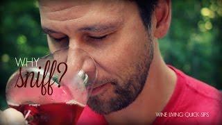 Wine Tasting Basics: Why Sniff a Wine?