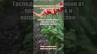 Молитва за мир в душе и теле #мир #душа #здоровье