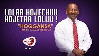 LOLAA HOJECHUU HOJETAA LOLUU ! Luba Dr. Gammachiis Dastaa "HOGGANSA"