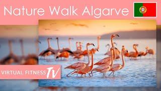 Virtual Nature Walk - Ria Formosa National Park - Algarve - Portugal