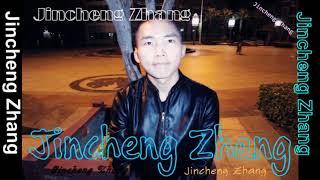 Jincheng Zhang - Surroundings (Instrumental Version) (Background Music) (Official Audio)