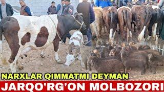 SURXONDARYO JARQO'RG'ON MOLBOZORI NARXLARI QIMMATMI DEYMAN 14.04.2024