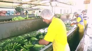 #Machala SOMOS EL MACHALEÑO, TU DIARIO DIGITAL.