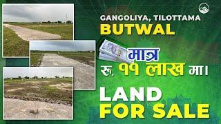 8.5 Dhur Land For Sale In Tilottama Gangoliya Butwal @ 11Lakhs