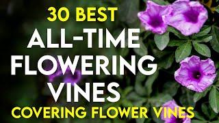 30 best permanent flowering creepers in india | all time flowering vines | perennial flowering vines