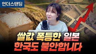 쌀값 폭등한 일본, 한국도 불안합니다 (동아일보 딥다이브 한애란 기자)