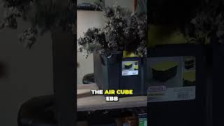 Revolutionary Air Cube System Reveals Shocking Plant Benefits You Didnt Know About