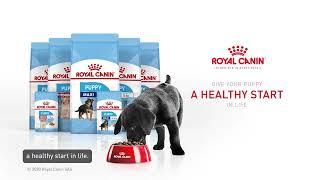 Royal Canin Puppy DVC 2022 15s (Philippines)