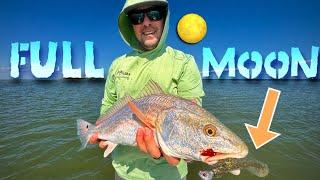 Being a FISHING GUIDE is hard... FULL MOON FISHING (Catch & Cook)