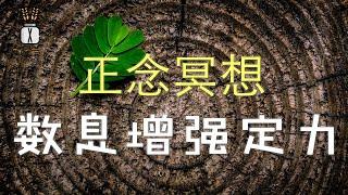 【正念冥想课程】数息增强定力丨风吹麦浪