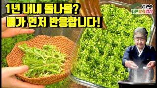 뼈건강이 염려된다면, 돌나물 칼슘소금으로 만들어 드세요