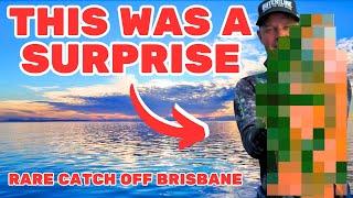 THESE ARE RARE HERE!  Rare Catch Caught Off Brisbane 